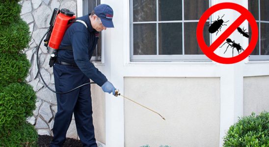 Akyurt Kemirgen İlaçlama böcek ilaçlama ve haşere kontrolü — ilaclama-tr.com